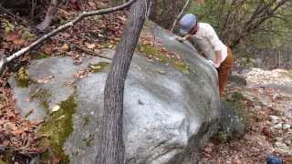 小川山　黒豆　一級