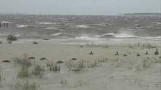 preview picture of video 'Tropical storm Hanna @ Belhaven 2'