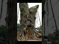 Misteri Dunia Yang Masih Belum Terpecahkan Hingga Kini Dan Nanti