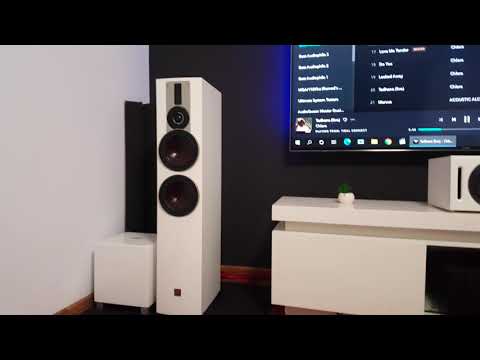 Dali rubicon 6 with gato audio dia 400