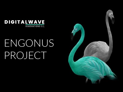 Videos from Digitalwave Innovations SL