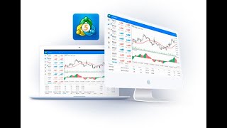 MT5 Window - How to Restore Back all necessary navigator tool on MT5 Window