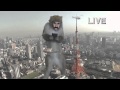 Mark Monkey Man Movie Debut