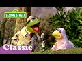 Kermit News The Bird Family Song Sesame Street Classic