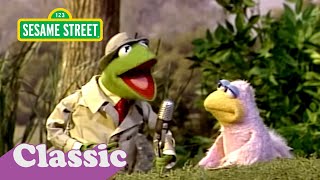Kermit News: The Bird Family Song | Sesame Street Classic