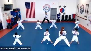 Live Class - Little Tigers & Yellow Stripe - 6.19.20 @ 5:15pm