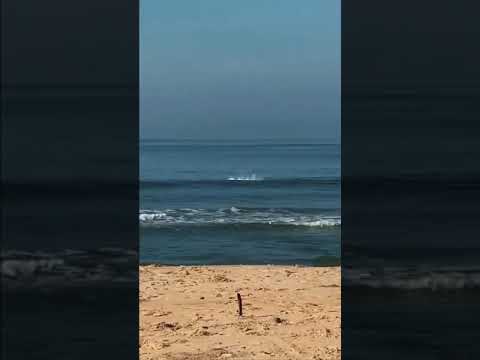 🐬MATTOOL BEACH 🐬