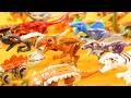 All My Dinosaur Minifigures Comparison LEGO Jurassic World