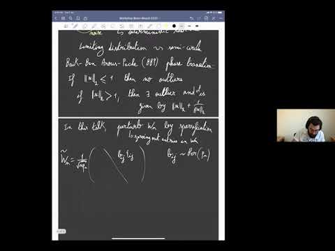 Pierre Youssef: Outliers in sparse Wigner matrices