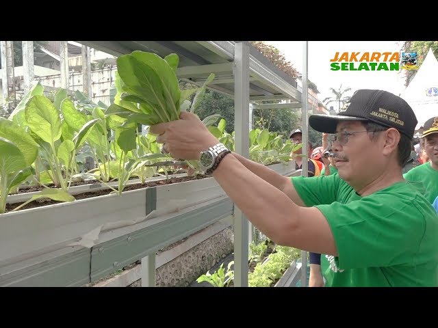 Urban Farming Selong Farm Diresmikan