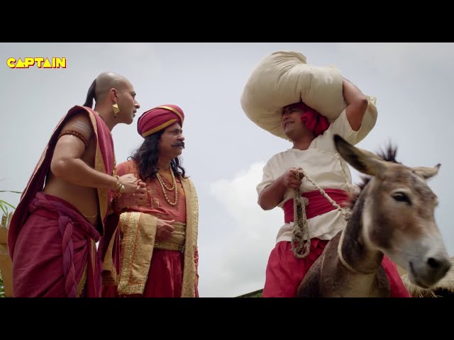 पंडित रामा कृष्ण ढूंढने निकले एक से बढ़कर एक 'मूर्ख' को | तेनाली रामा - Tenali Rama SDDEFAULT Thumbnail
