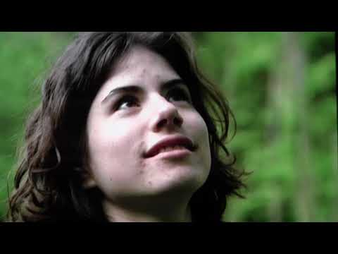 1993 Storm of the Century