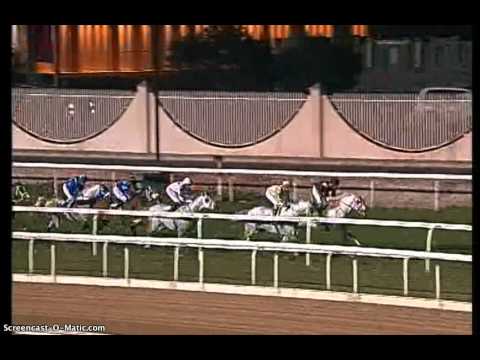 14th Race Meeting - Race 6