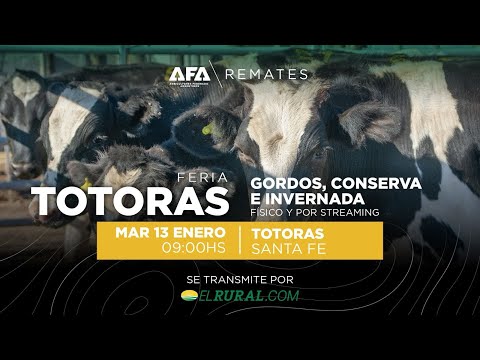 Remate AFA Gordos, Conserva e Invernada desde Totoras Santa Fe