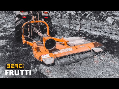 Mulching in the kiwi field with a Berti FRUTTI mower
