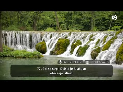 Učenje Kur'ana - hfz. dr. Halil ef. Mehtić  (El-Mu'min, 41-85; El-Fussilet) - 48. hizb