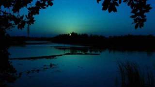 Delerium, Sarah McLachlan-Silence (Fade's Sanctuary Mix Edit)