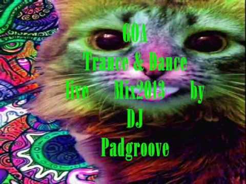 GOA Summer Trance & Dance Mix 2013 - 1:44h - live by DJ Padgroove