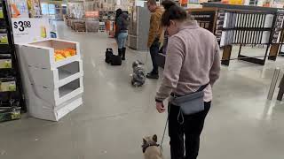 Video 2 trigger image