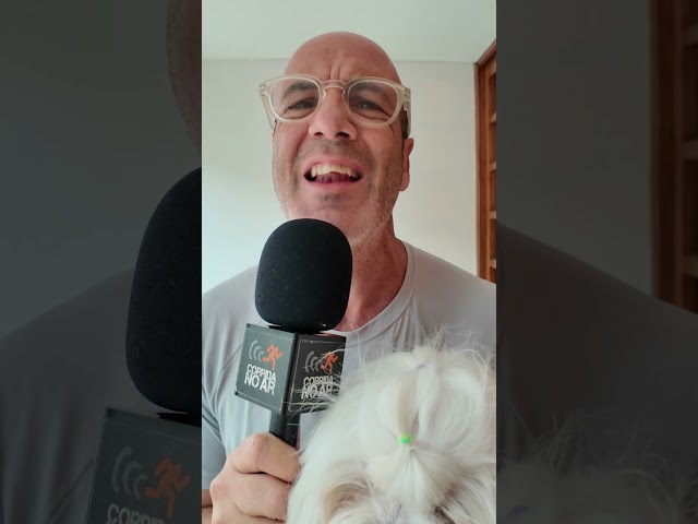 Tênis com placa de carbono causam lesão?