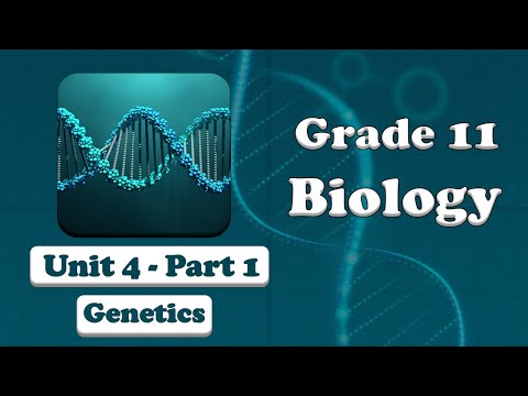 Grade 11 Biology UNIT 4 Genetics Part 1|  Mr. Ebisa Geleta