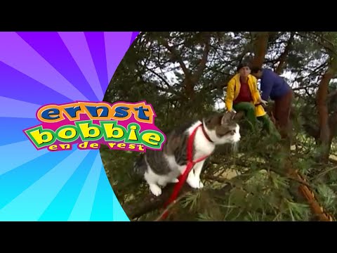 De Weggelopen Kat • Avonturen Bij de Politie • Ernst en Bobbie