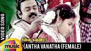 Download lagu Antha Vanatha Pola Video Song | Female Version | Chinna Gounder Movie | Vijayakanth | Ilayaraja mp3 Download lagu Antha Vanatha Pola Video Song | Female Version | Chinna Gounder Movie | Vijayakanth | Ilayaraja mp3