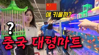 한국에선 벌레, 중국에선 ‘애완동물’입니다 - 상하이(4)