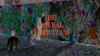 PARTY IN THE PARK-WITH THE NATURAL CURRICULUM