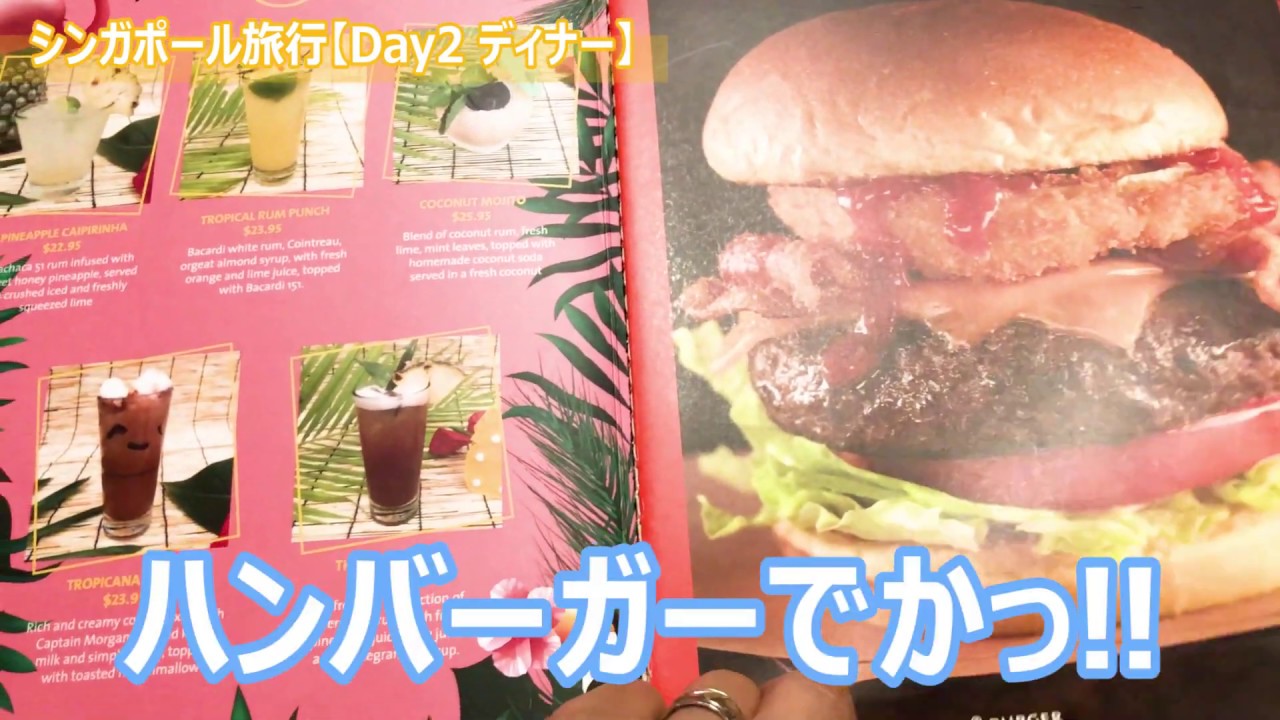 【女子旅】シンガポールday②後半〜dinnerは有名な○○へ♡〜