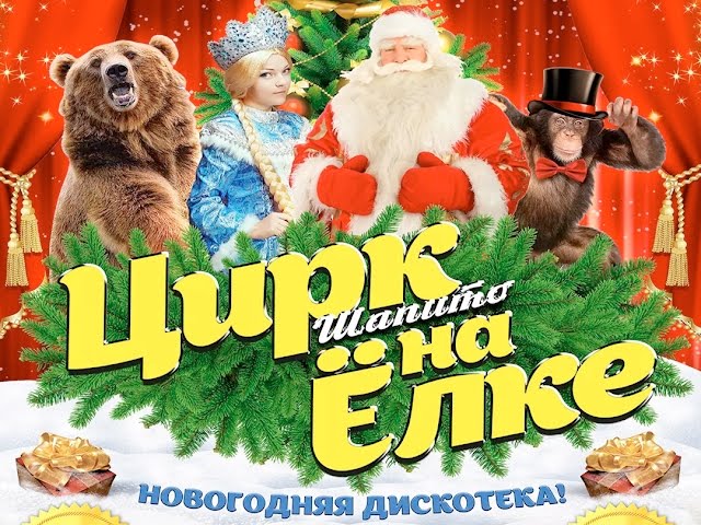 Любите цирк!