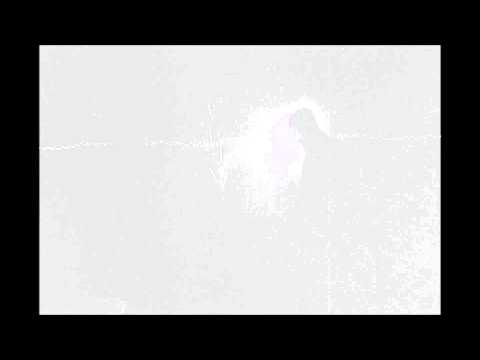 Maybe you are - Asaf Avidan (Cover)