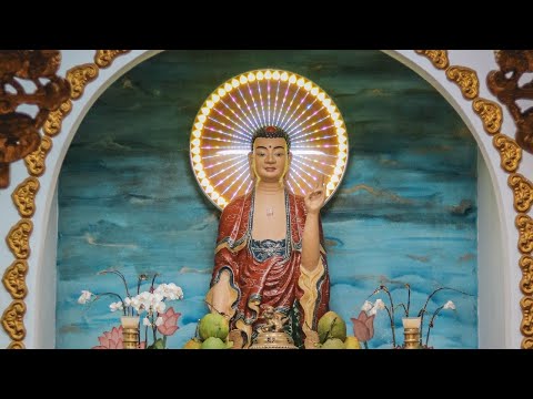 Analysis of the Six Sense-Domains: MN 137 w/ Bhante Suddhaso Part 1