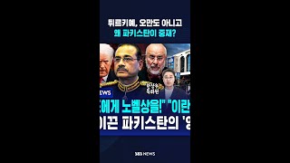 튀르키예, 오만도 아니고..왜 파키스탄이 중재? #shorts
