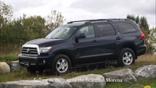 Samba Do Soho by Michael Franks W/ Lyrics