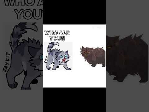 When jayfeather meets yellowfang for the first time #jaykit #yellowfang #warriorcats #edit #funny