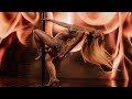 VERENA X FOX NIKARAGVA OFFICIAL VIDEO VERENA X FOX NIKARAGVA OFFICIAL VIDEO
