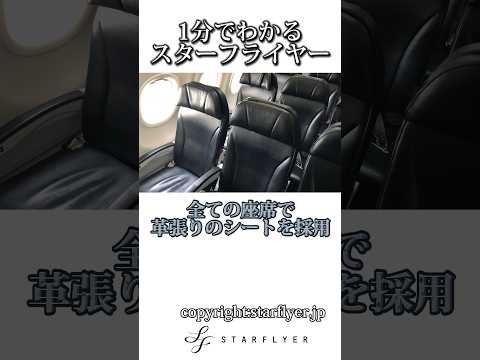 ICAO 航空会社コードのリストについて詳しく解説