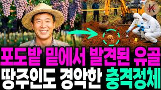 Download lagu Skeletal remains discovered under a vineyard in 2003, the shocking identity that even the landown... mp3