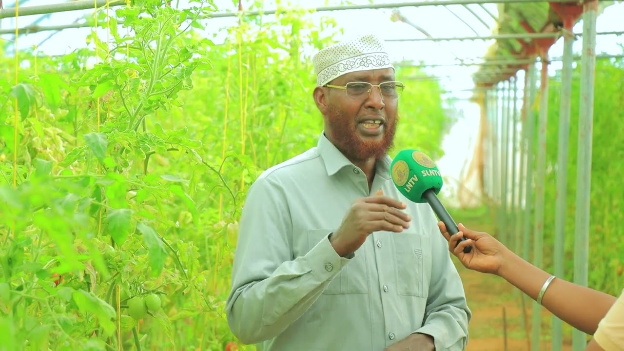 Ninka taajirka ah ee lacagta haysta hadii uu ogyahay macaashka ku jira halkan