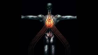 Tool - Merkaba (Live)