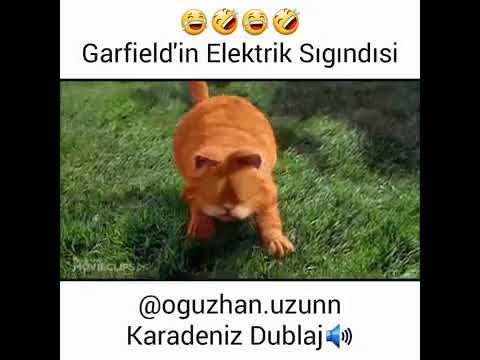 Oğuzhan Uzun Karadeniz Dublaj - Tilkinin Tembel Çalışanları