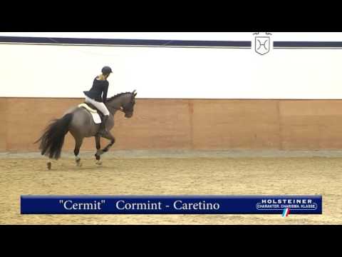119. Cermit v. Cormint - Caretino