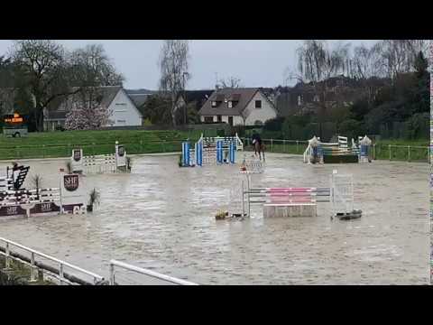 Eiffel du Hus * GFE - 6 ans - St Lô 2020