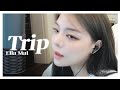Ella Mai Trip Cover