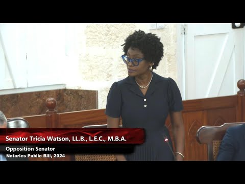 Opposition senators protest bill