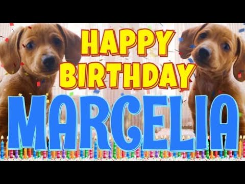 Happy Birthday Marcelia! ( Funny Talking Dogs ) What Is Free On My Birthday