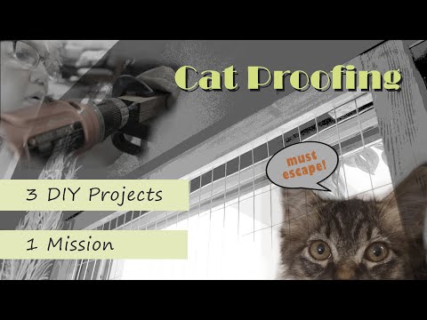 Practical DIY CAT PROOFING our Home - Watch till the End for Extra Kitten Clip