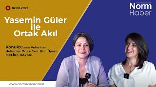 Yasemin Güler ile Ortak Akıl'ın konuğu; Bursa Veteriner Hekimler Odası