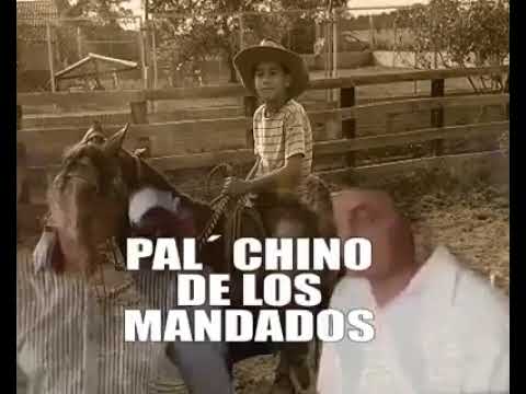 Pal Chino de los mandados - Homenaje